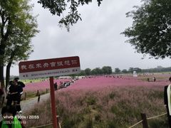 -汉长安城未央宫国家考古遗址公园