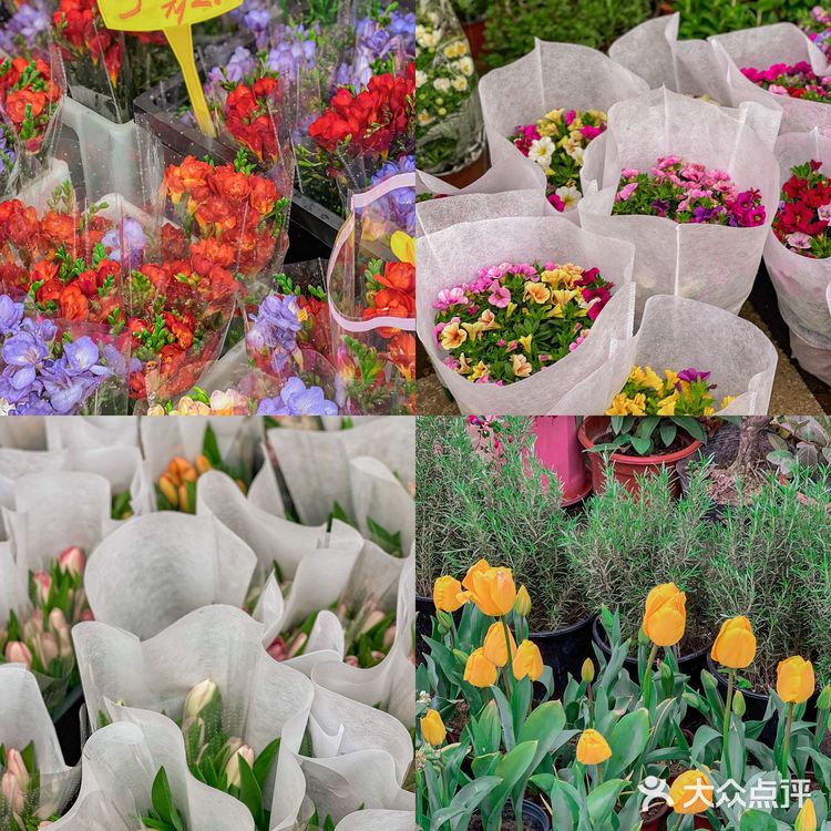 重庆首家露营地火锅 露天草坪火锅太浪漫了