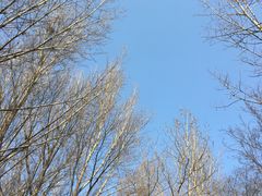 景点-蒙山大佛景区