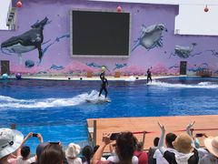 -北戴河圣蓝海洋公园