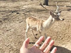 -西安秦岭野生动物园