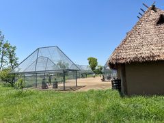 -良渚古城遗址公园