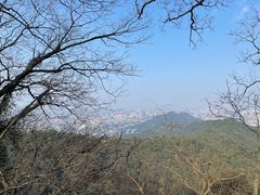 -灵顺寺