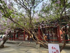 -荣国府