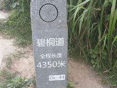 -梧桐山风景名胜区