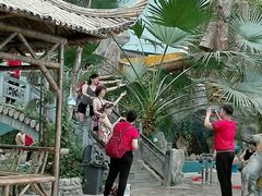 -龙脉温泉室内游泳馆