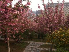 -山东大学(软件园校区)