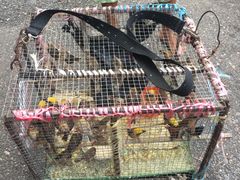 -ခြောက်ထပ်ကြီးရွှေသာလျောင်းဘုရားကြီး