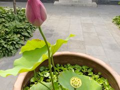 -李叔同故居纪念馆