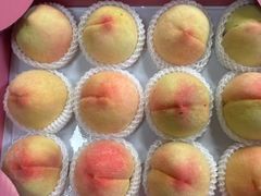 -南汇新场正宗水蜜桃采摘