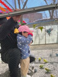 -萌宠亲子动物乐园(槐房万达店)