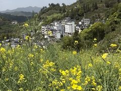 -石潭村