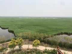 -南大港湿地风景区