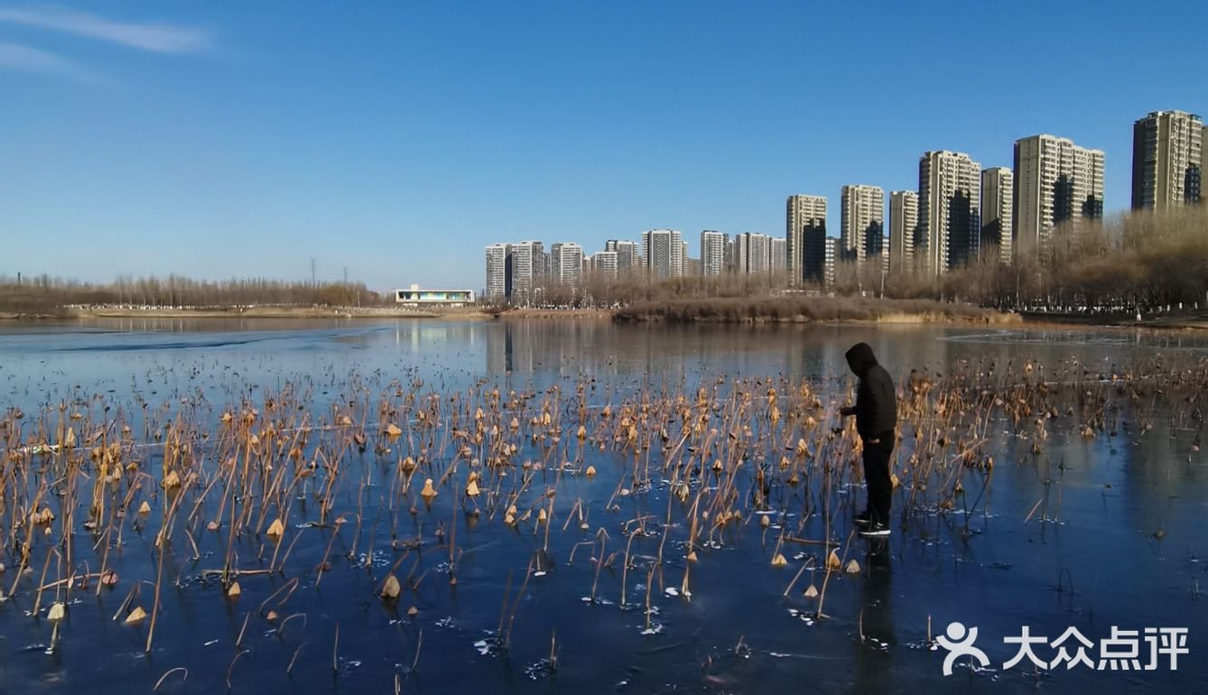 冬日的丁香湖