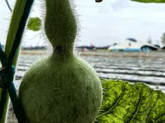 -中国天府农业博览园