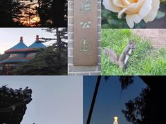 -天坛公园