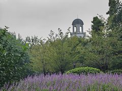 -宋园·金宴浙鲜馆(静安店)