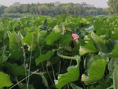 -江南大学(蠡湖校区)