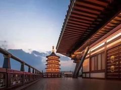 -蕃茄田艺术(普陀长风大悦城中心)