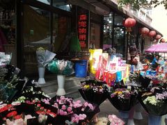 -宝鸡东道花鸟鱼虫市场(吉利花园商场店)