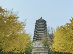 -玲珑塔公园
