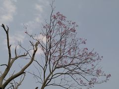 -金山公园