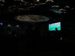 大堂-Paulaner·德国帕拉娜自酿啤酒餐厅(海上世界店)