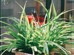 -墨白私房菜·广东菜 粤菜