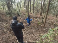 -铁山坪森林公园