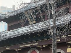 -上海白云观