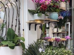 -FEI FEI FLOWER鲜花店·气球派对·宝宝宴布置(虹口德必运动Loft店)