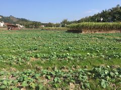 -红山村