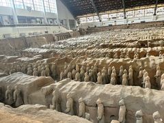 -秦始皇帝陵博物院(兵马俑)