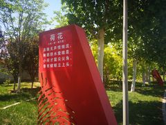 -武清南湖绿博园