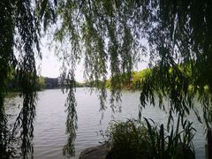 -上海怡沁园度假酒店