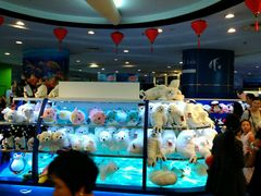 -上海海洋水族馆-停车场