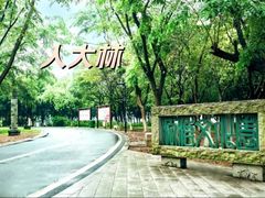 -顺峰山公园