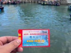 -杨梅坑