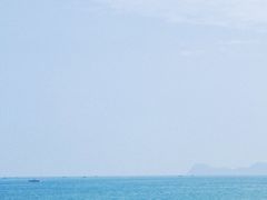 -广东惠东海龟国家级自然保护区