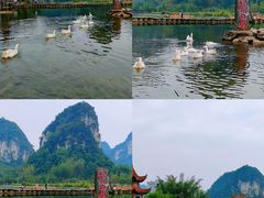 -靖西鹅泉风景区