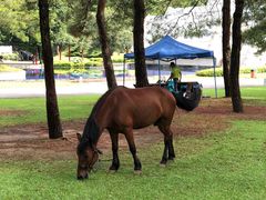 -Club Med地中海俱乐部·桂林度假村