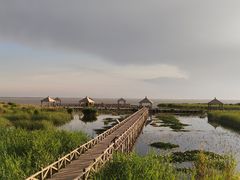 -哈素海