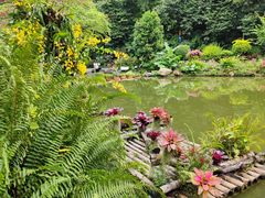 -深圳仙湖植物园