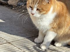 -终南山南五台景区