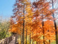 -句容茅山景区