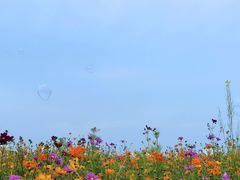 -坝上草原大汗行宫旅游景区