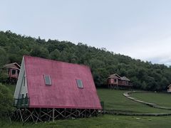 -关山草原