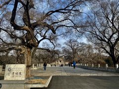 -北陵公园