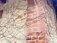 -青岛德国监狱旧址博物馆