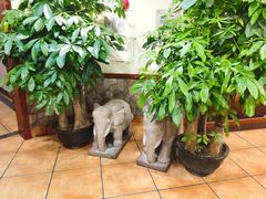 -石头咕(葵蓬店)